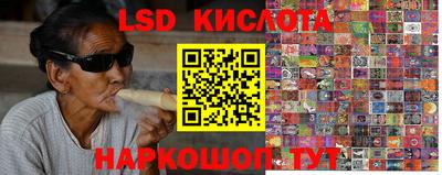 PSILOCYBIN Бердск
