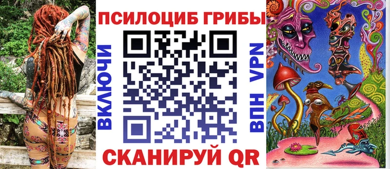 omg вход  Переславль-Залесский  Псилоцибиновые грибы мицелий 