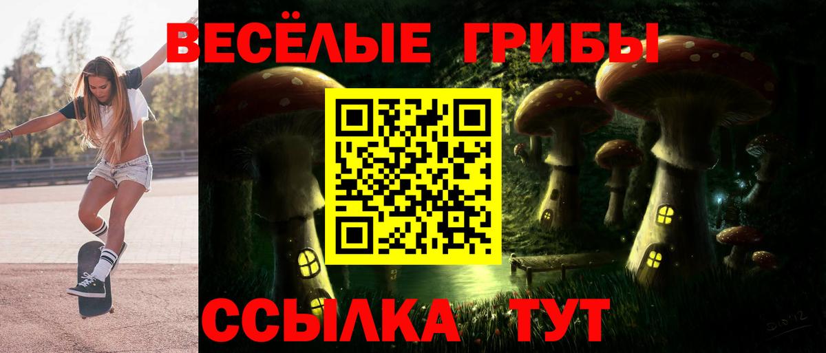 Псилоцибиновые грибы мухоморы Переславль-Залесский